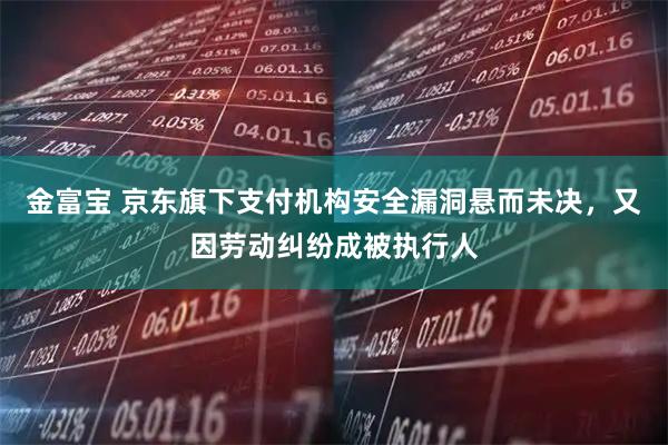 金富宝 京东旗下支付机构安全漏洞悬而未决，又因劳动纠纷成被执行人