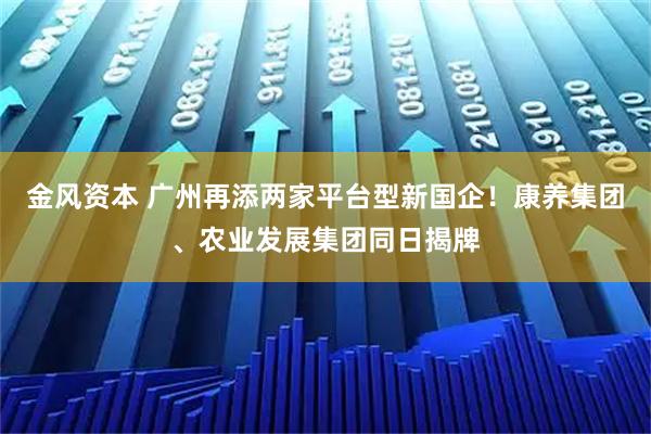 金风资本 广州再添两家平台型新国企!康养集团、农业发展集团同日揭牌
