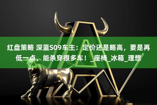 红盘策略 深蓝S09车主:定价还是略高,要是再低一点,能杀穿很多车!_座椅_冰箱_理想