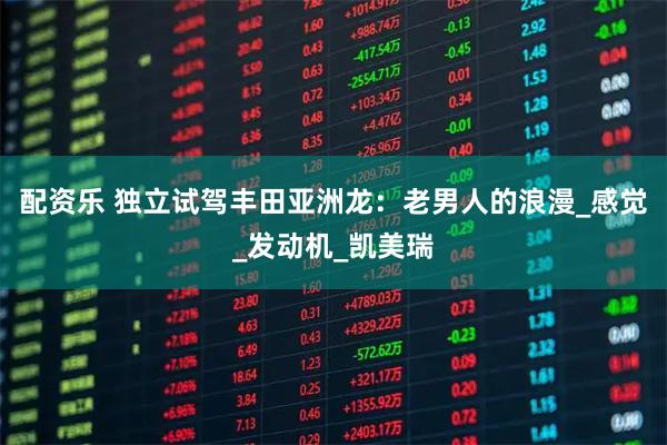 配资乐 独立试驾丰田亚洲龙：老男人的浪漫_感觉_发动机_凯美瑞